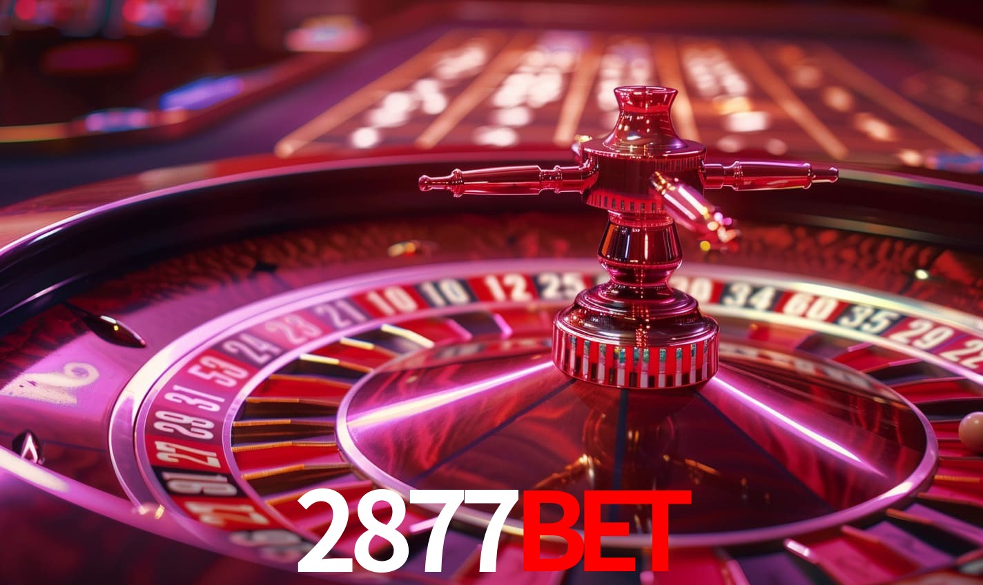 Apostas Esportivas na 2877bet: Um Guia Completo