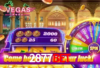 A Experiência Imersiva dos Cassinos Ao Vivo no 2877bet